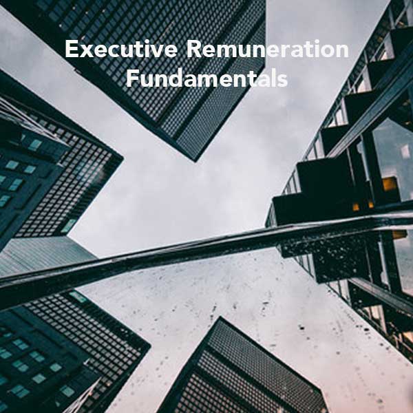 Executive Remuneration Fundamentals