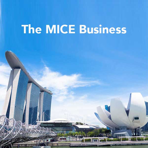 The MICE Business