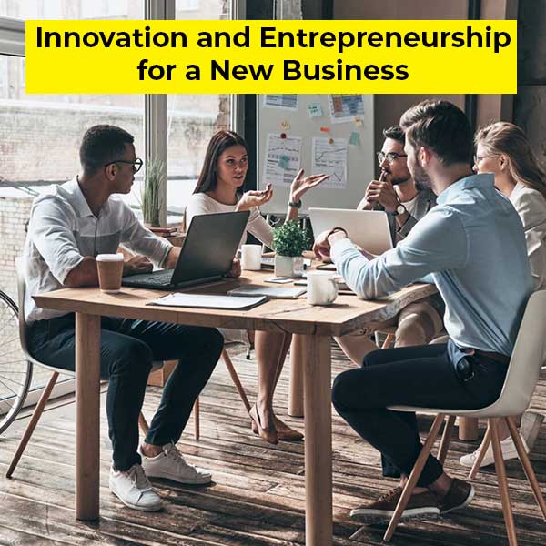 Innovation and Entrepreneurship for a New Business