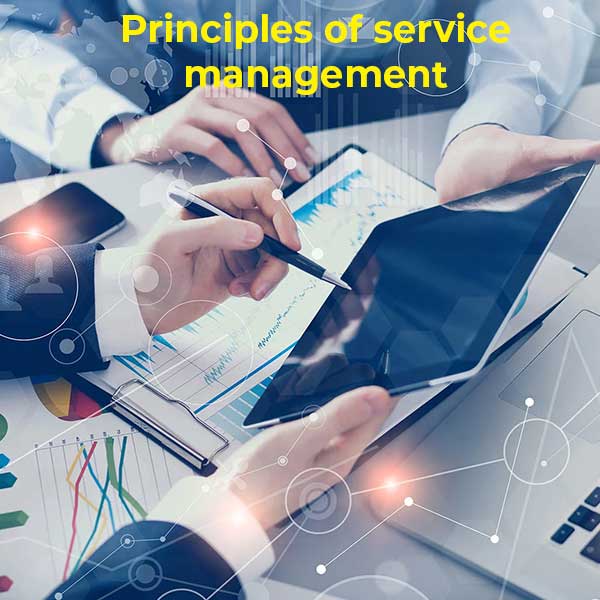 Principles of service management